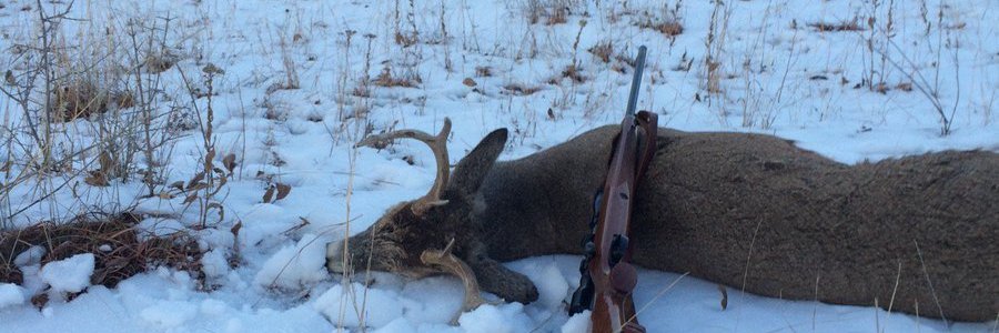 sixshooter67's profile banner image