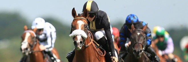 Andrew Balding Fans banner