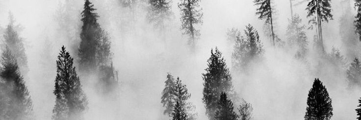 della_christ's profile banner image