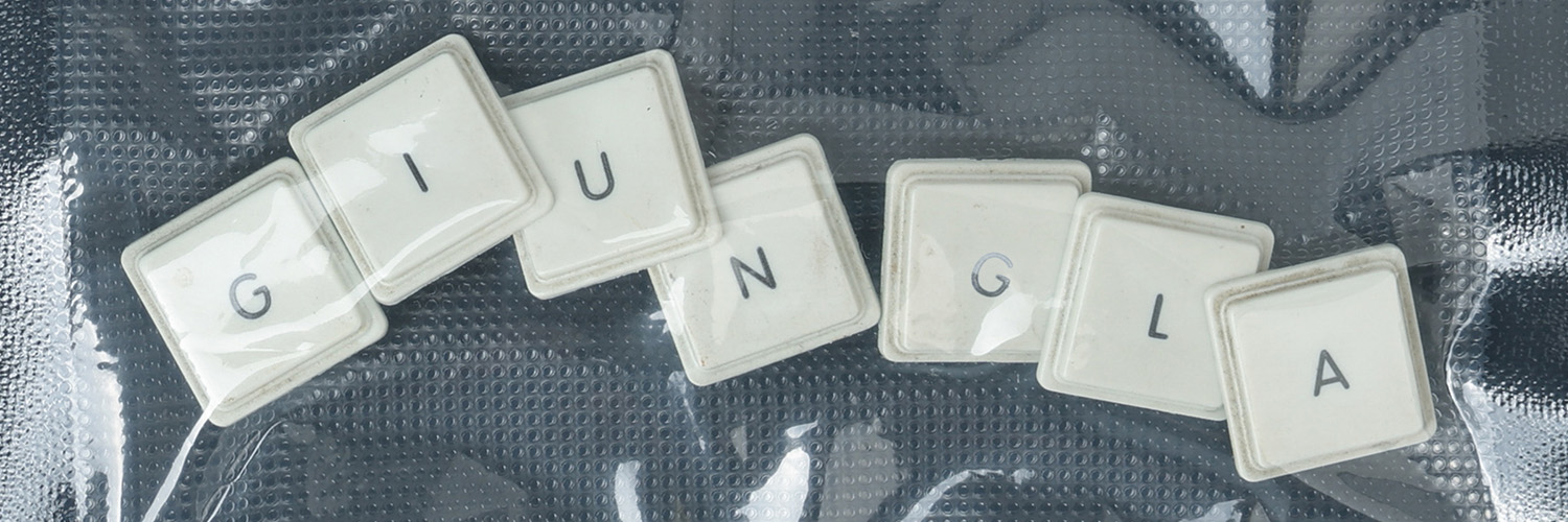 giunglamusic's profile banner image