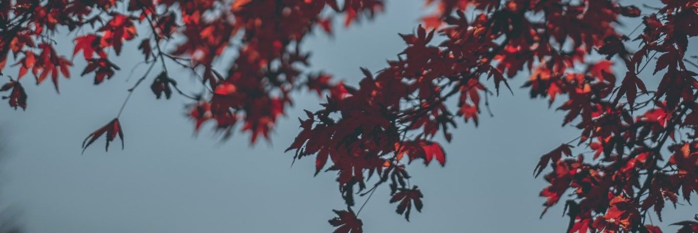 mariasign_'s profile banner image