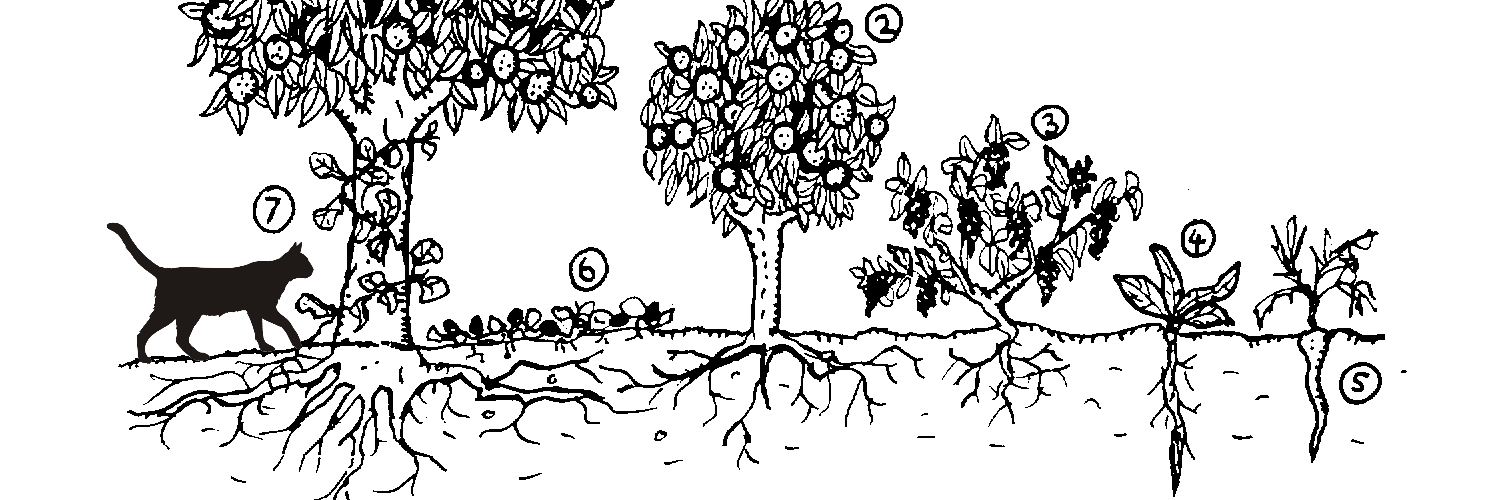 AEA_2015's profile banner image