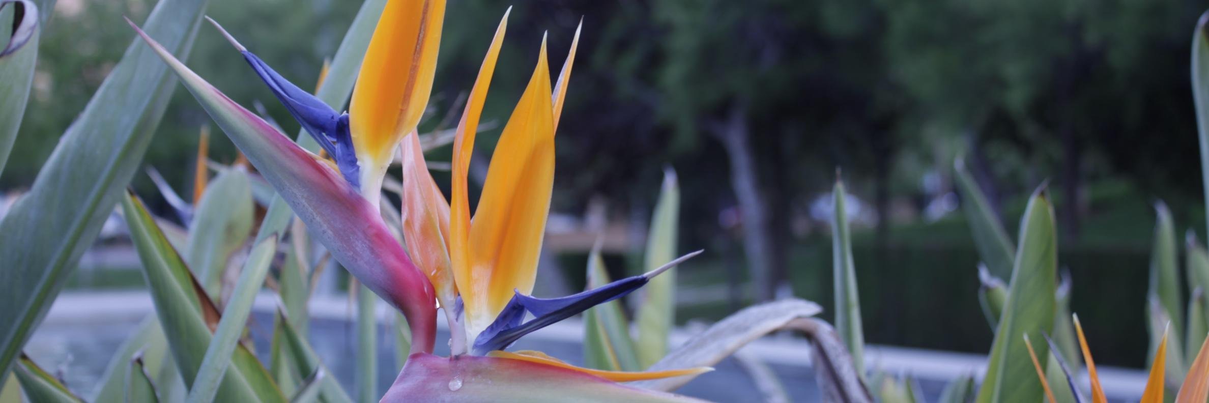 vilarmoreno's profile banner image