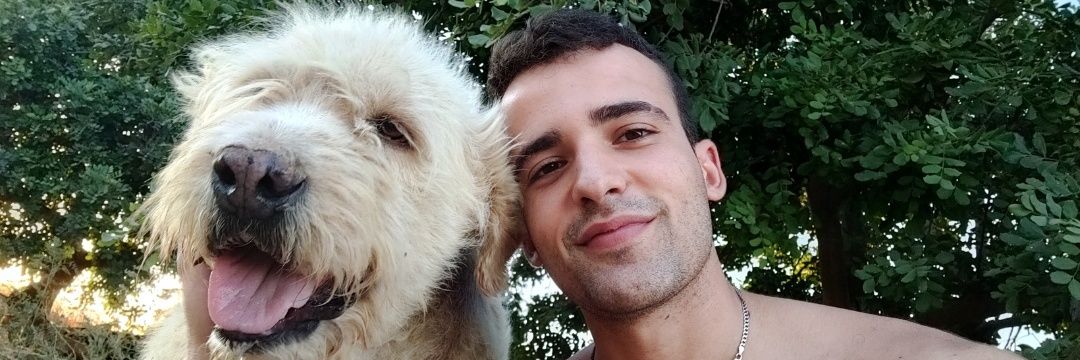 alfonsogarber's profile banner image
