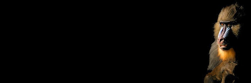SabreWolf Evaluation banner