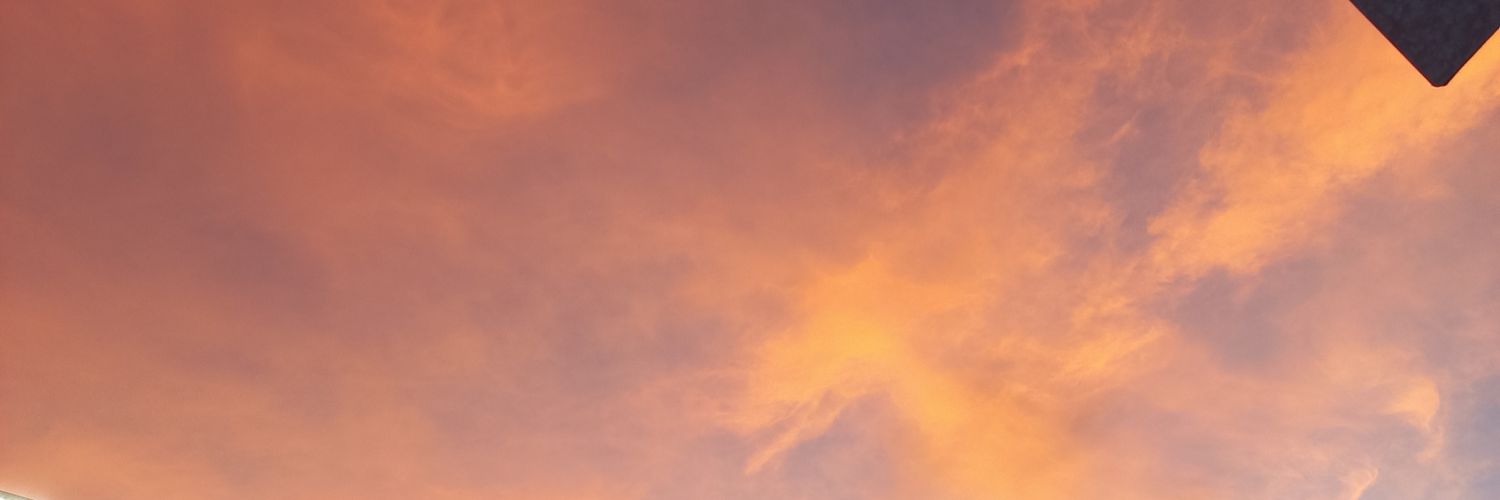 nelsestra's profile banner image