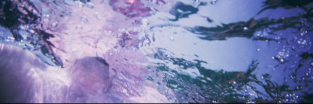 sydmorgan96's profile banner image