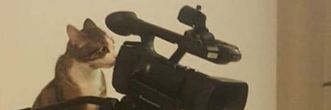aadfhhil's profile banner image