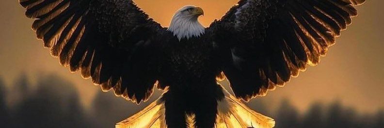 2blexx banner