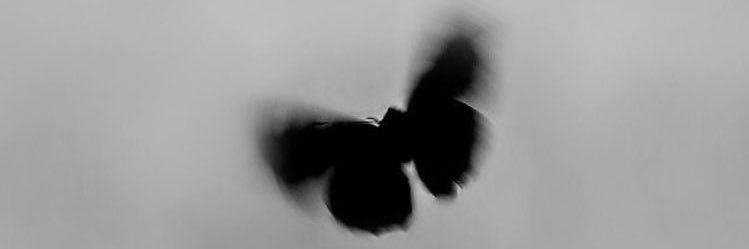 oohseh_nn's profile banner image