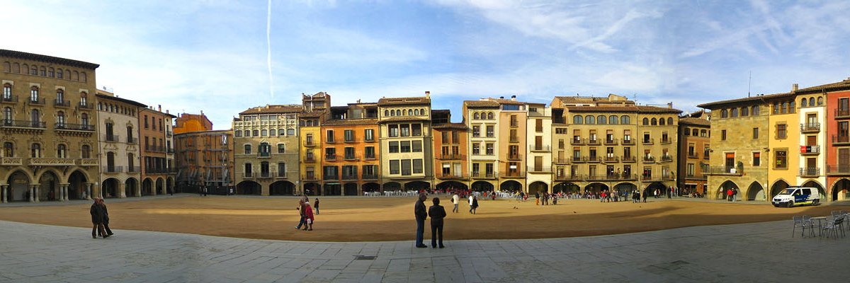ignasi aragones banner