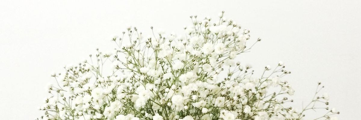 evangelababon's profile banner image