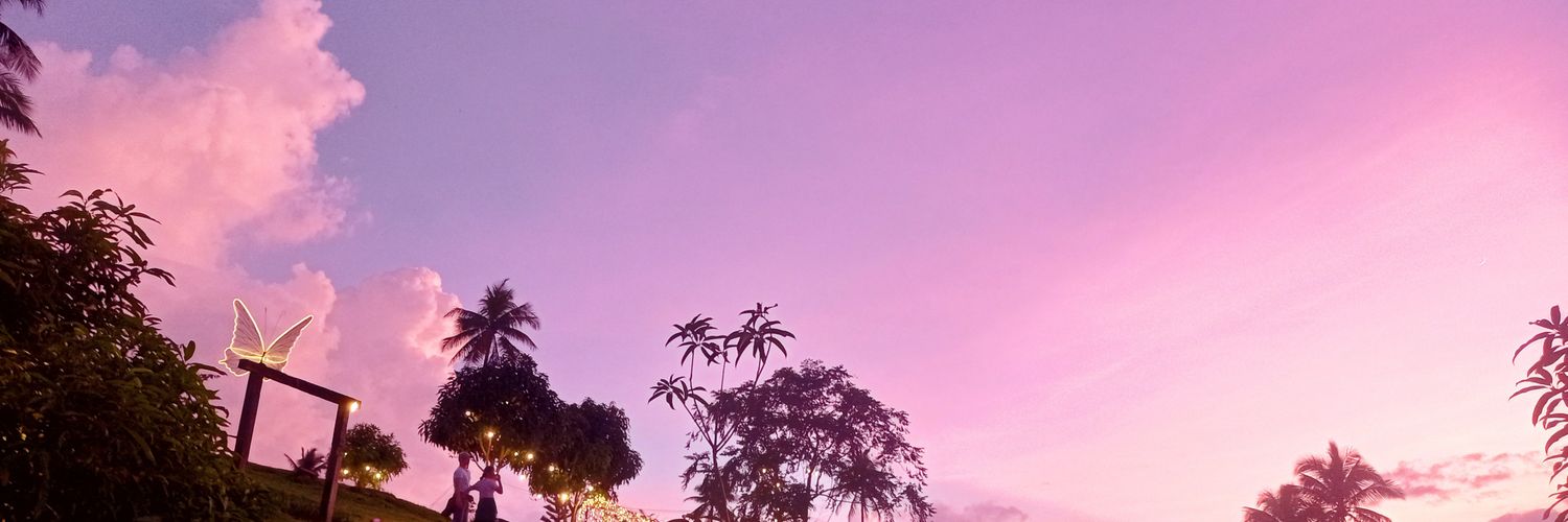 LJAltarejos29's profile banner image