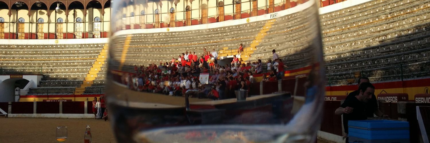 Cati Bustillo banner