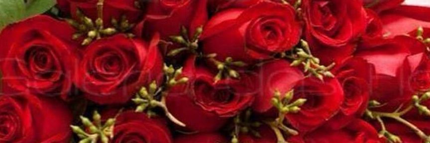 mano_mithi's profile banner image