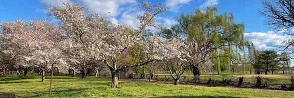 EricMarrapodi Profile Banner