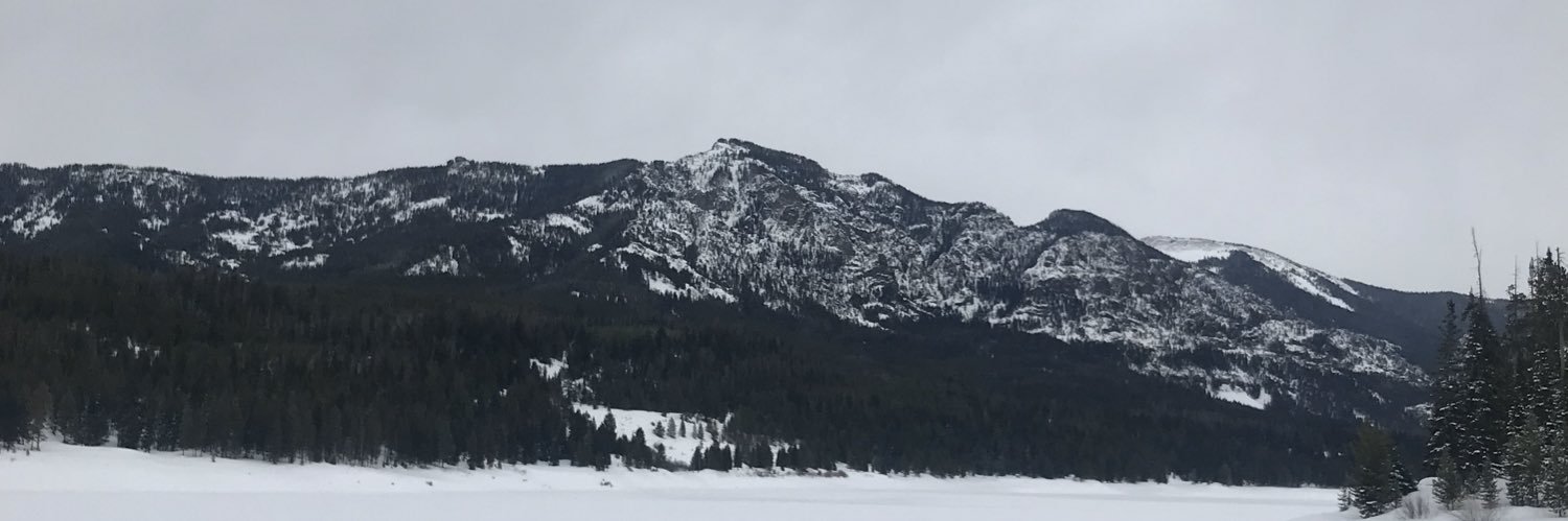 enlynch_'s profile banner image