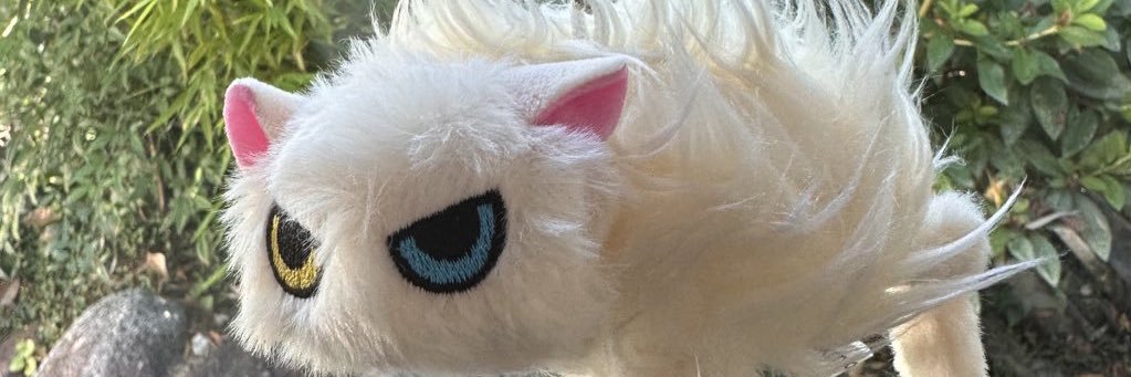 夜行性ぽっぽ❁ banner