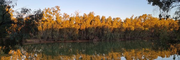bertpriestly Profile Banner