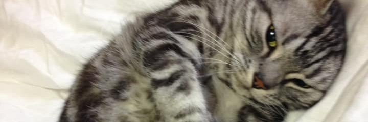keaton392's profile banner image