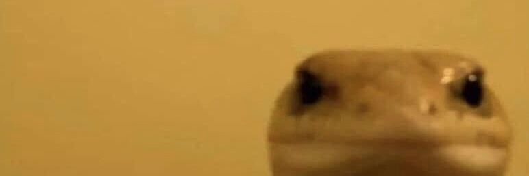 cursedmantis's profile banner image