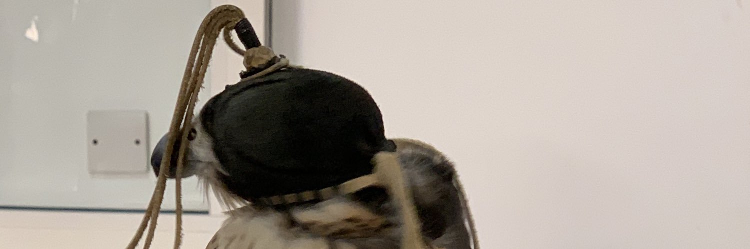 billyam7's profile banner image
