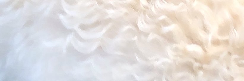nattsuuuu__'s profile banner image