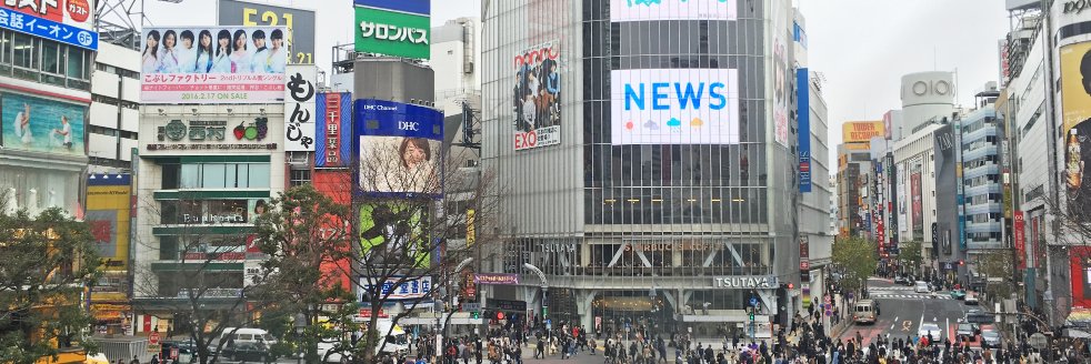 nanpapua's profile banner image