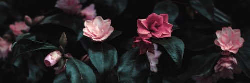 faiimusic's profile banner image
