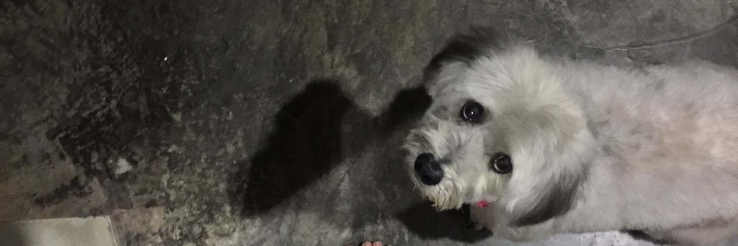 JunetteChai's profile banner image