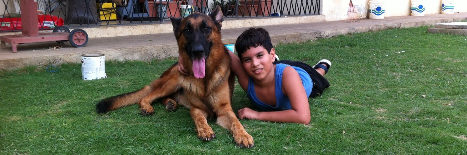 nelson_giulio's profile banner image