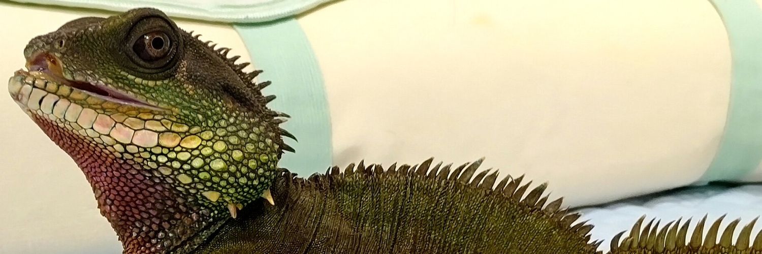 misamiko's profile banner image