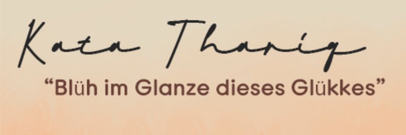 DCLXVI banner