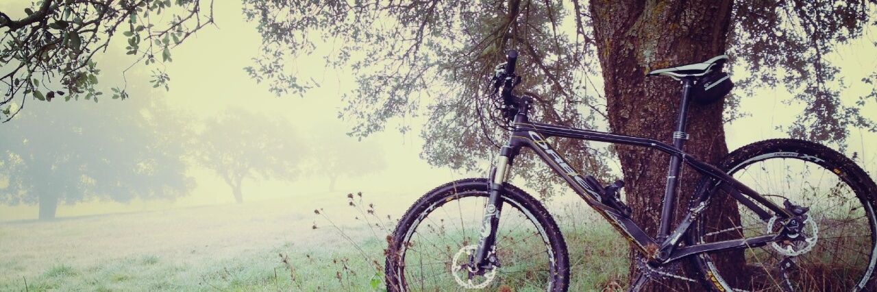 aitor_gue's profile banner image