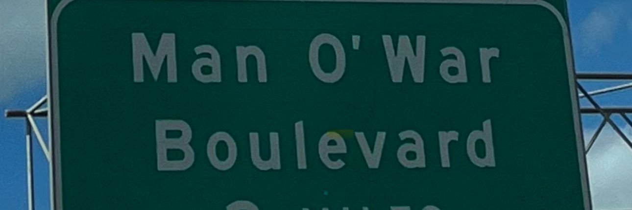 Drake ManO’War banner