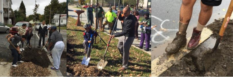 Providence Neighborhood Planting Program banner