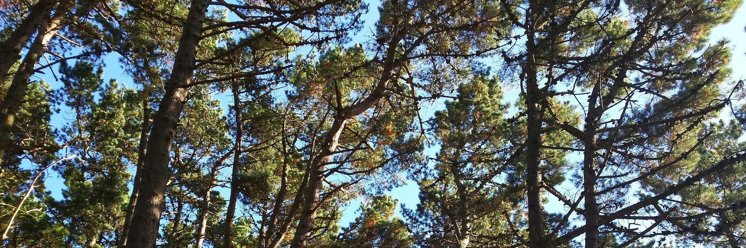 MattJStevenson's profile banner image
