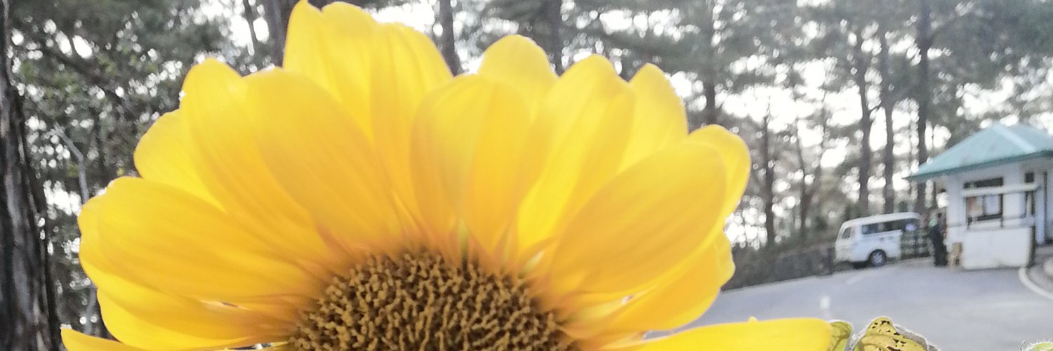knxghtcrawler's profile banner image