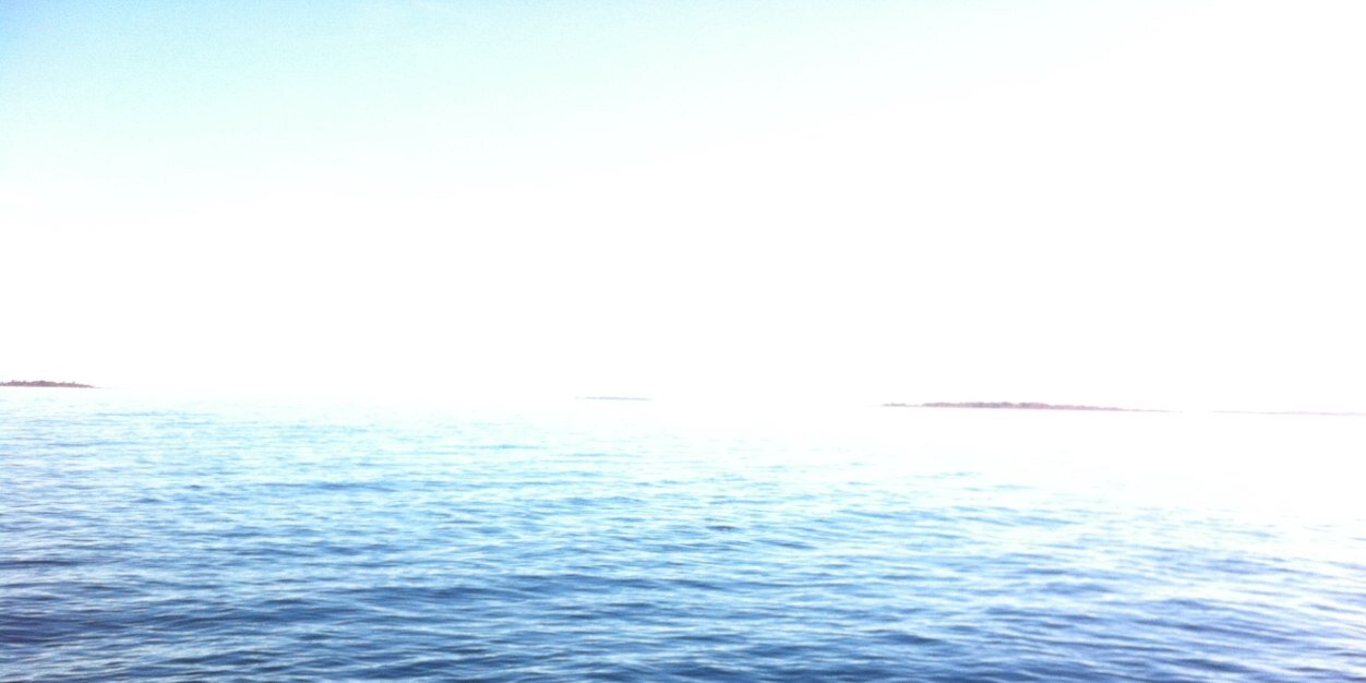 heidivonwright's profile banner image