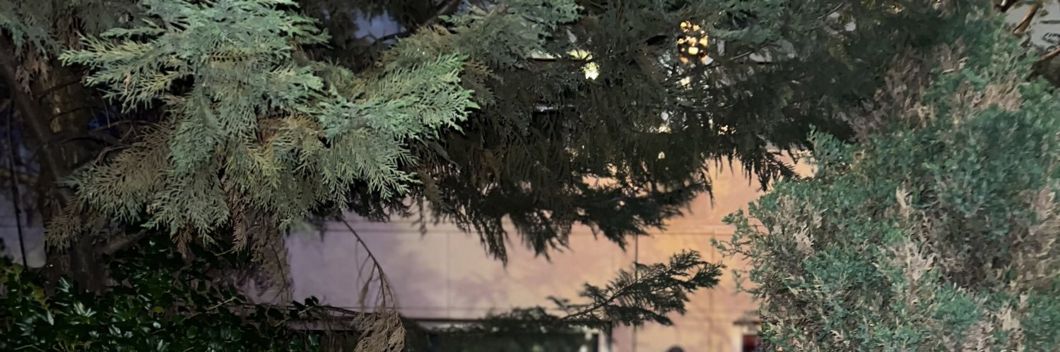 AlexKayyyy's profile banner image