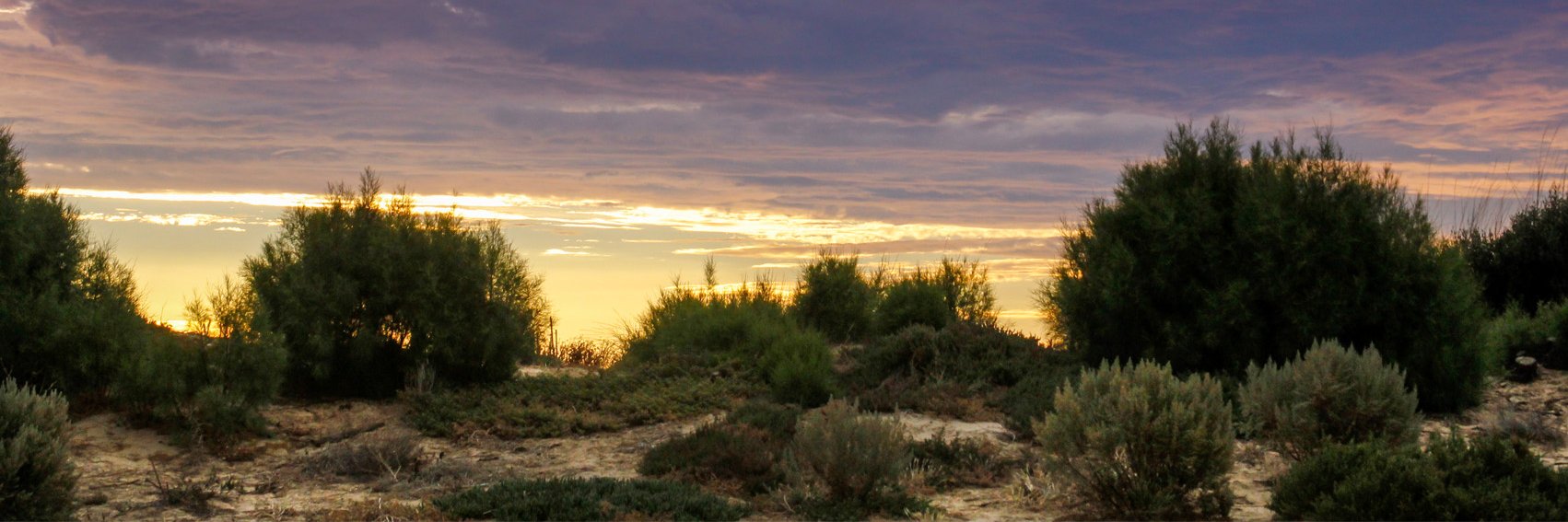 BrightonMaria's profile banner image