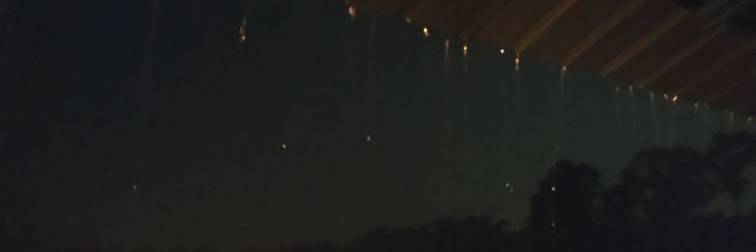 theaisyahT's profile banner image