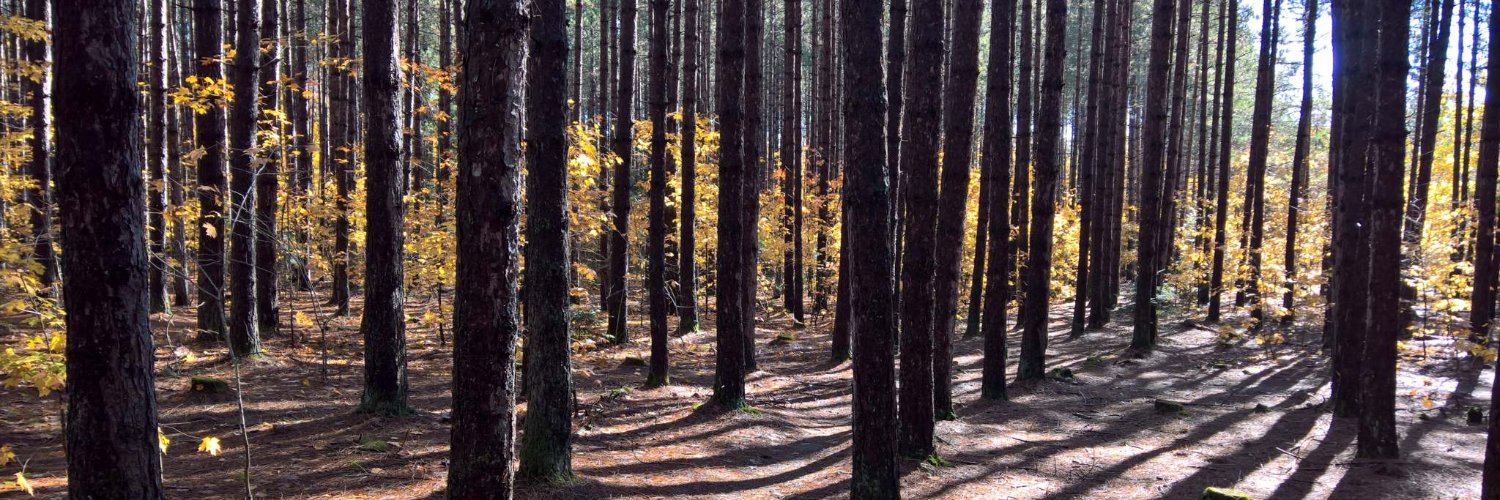 Heather McCulligh banner