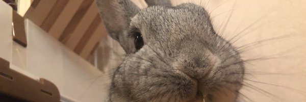 exam_rx78 Profile Banner