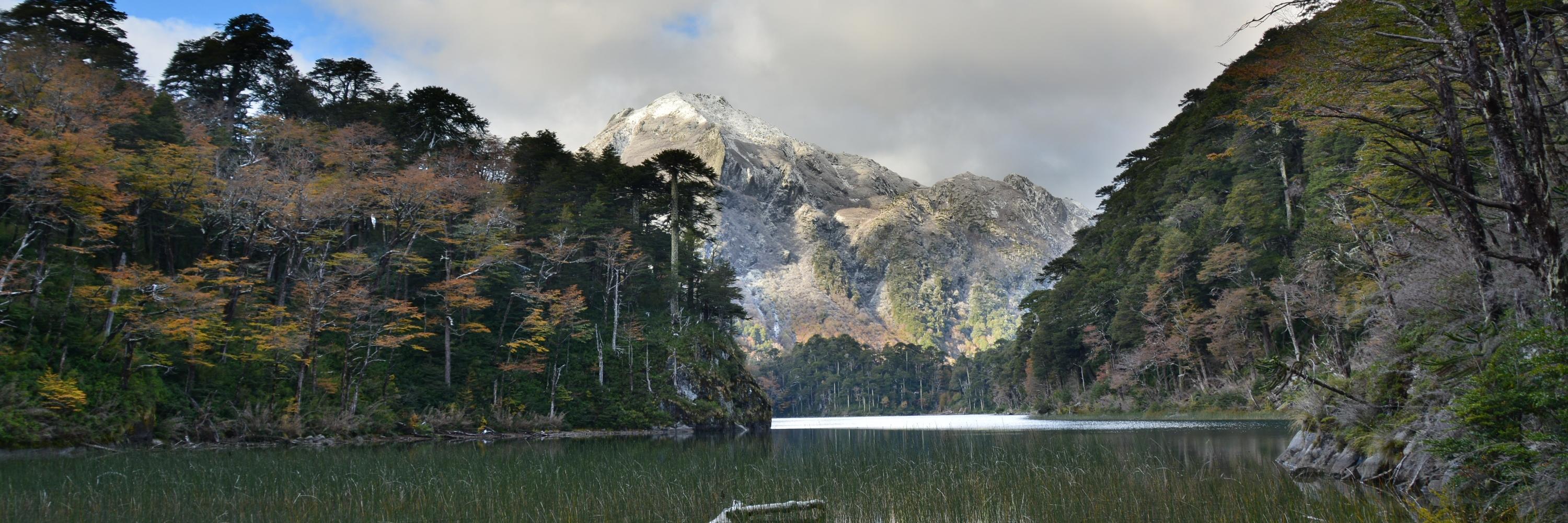 Moritz Böhmecke-Schwafert banner