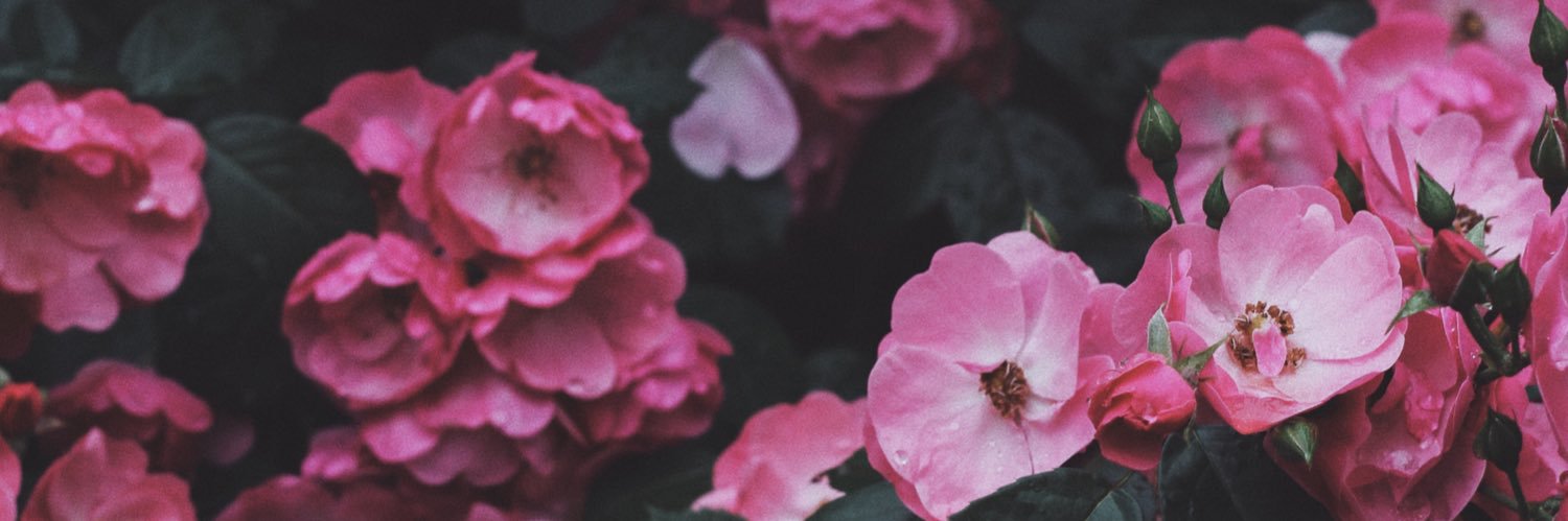 etthq's profile banner image