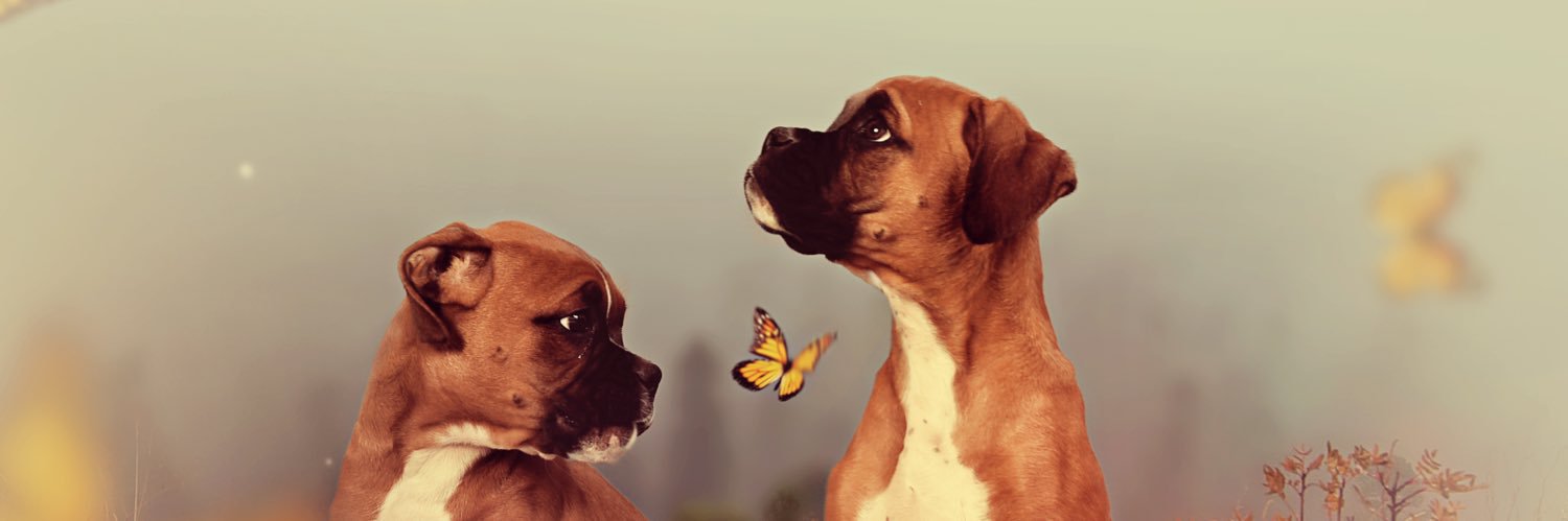 chl0eball's profile banner image