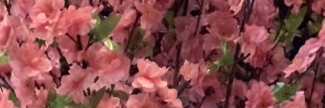 almariyaaa's profile banner image