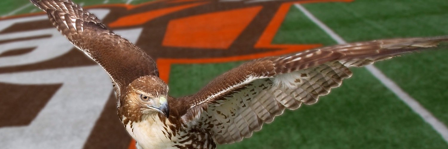 Positive_Falcon's profile banner image