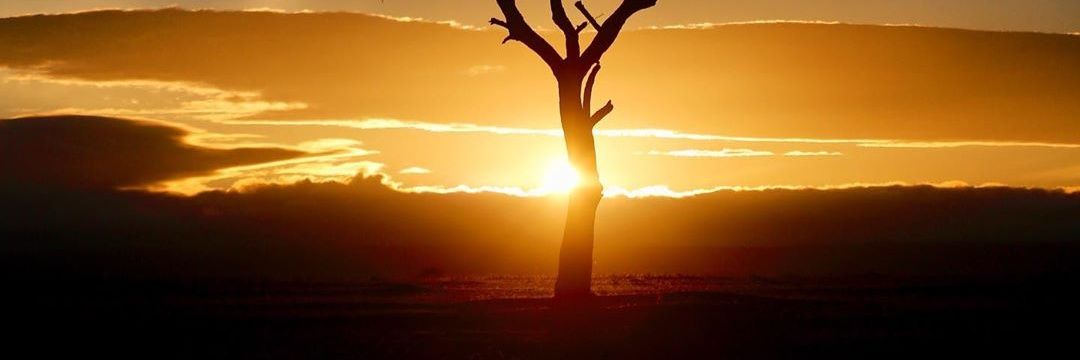 brehwe's profile banner image